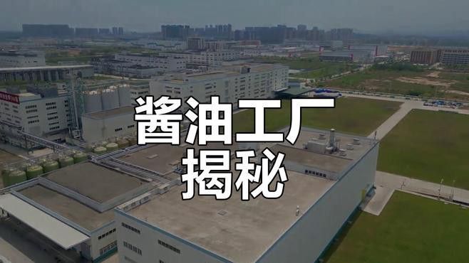 金龍魚調(diào)味品有哪些推薦？