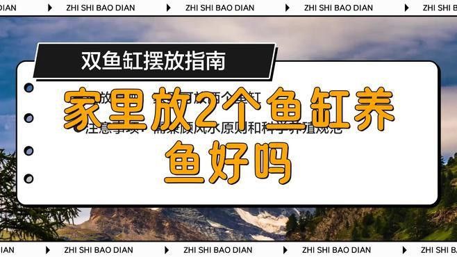 金龍魚豬鼻龜虎魚可以混養嗎圖片 金龍魚豬鼻龜虎魚可以混養嗎圖片 龍魚百科 第28張