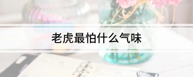 老虎唯一害怕的氣味