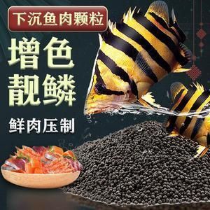 龍魚吃什么飼料比較好方丹：“龍魚吃什么飼料比較好方丹詳情”龍魚飼料選擇建議