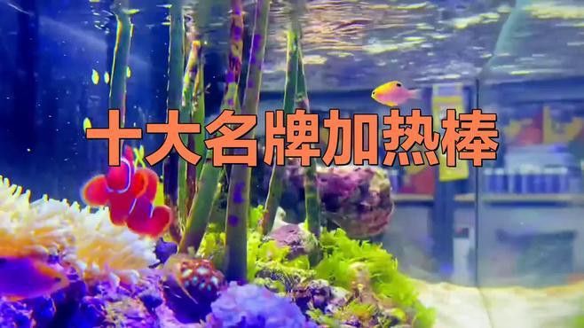 哪種品牌的加熱棒適合養龍魚？