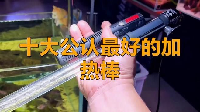 哪種品牌的加熱棒適合養龍魚？