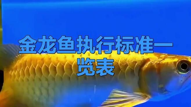 金龍魚品牌有哪些認證？
