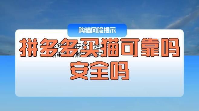 買小貓1元一只
