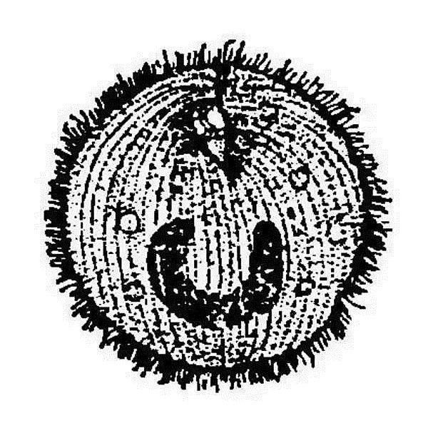 金龍魚眼睛上有白點(diǎn)是什么病癥