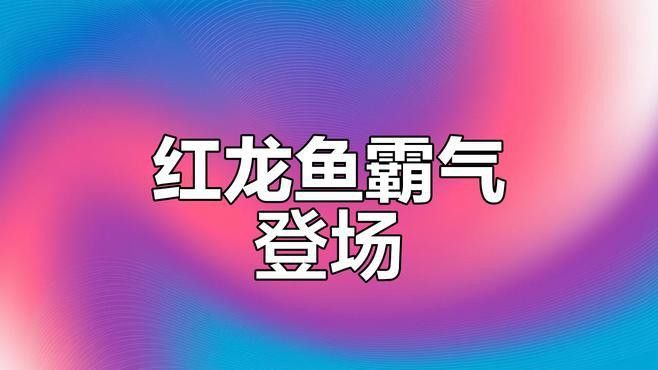 如何自定義繪制紅龍魚動態壁紙？