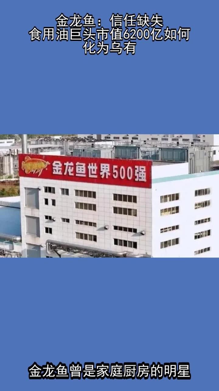 金龍魚如何應對信任危機？