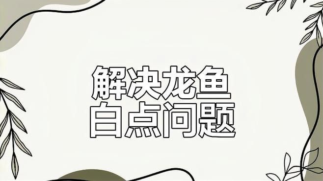 如何預(yù)防龍魚白點(diǎn)病？