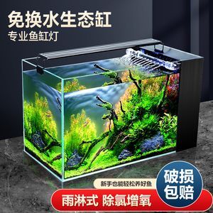 魚缸為什么不能經常換水（如何維護魚缸硝化系統魚缸換水的最佳時機）