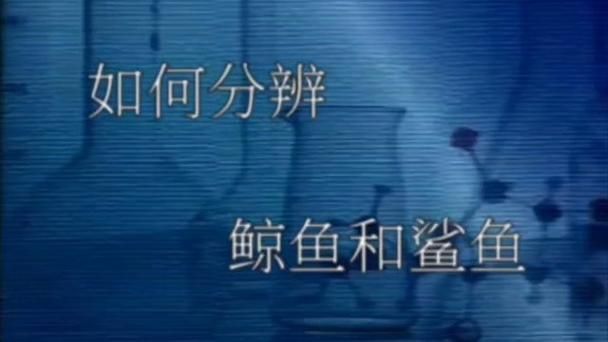 鯨魚鯊魚區別圖片對比
