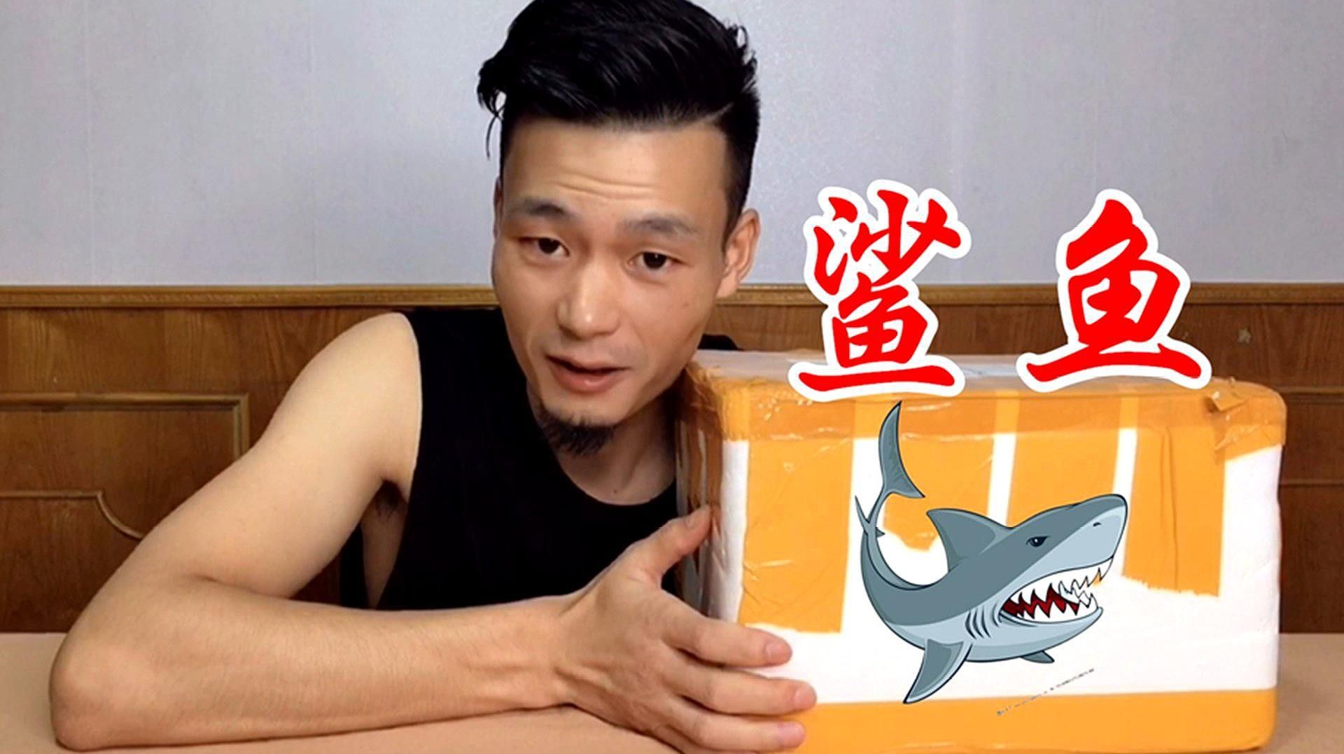 恐龍魚吃食視頻教程大全