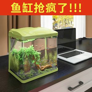 紅龍魚的最好品種多少錢一只啊圖片大全（紅龍魚的最好品種多少錢一只啊圖片大全視頻）
