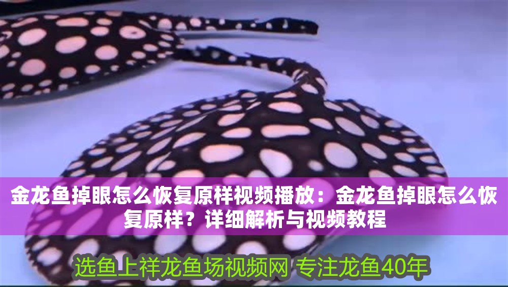 金龍魚掉眼怎么恢復原樣視頻播放：金龍魚掉眼怎么恢復原樣？詳細解析與視頻教程