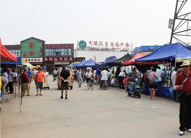 天津紅龍魚批發市場