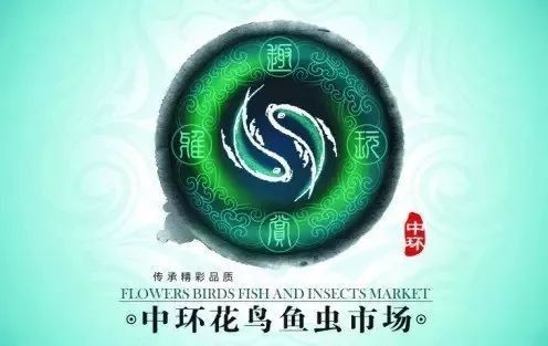 天津紅龍魚批發市場
