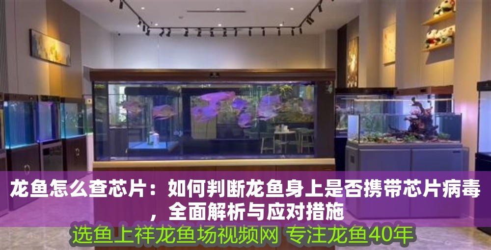 龍魚怎么查芯片：如何判斷龍魚身上是否攜帶芯片病毒，全面解析與應對措施