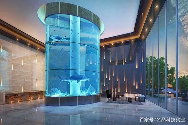 型水魚缸屬于什么檔次