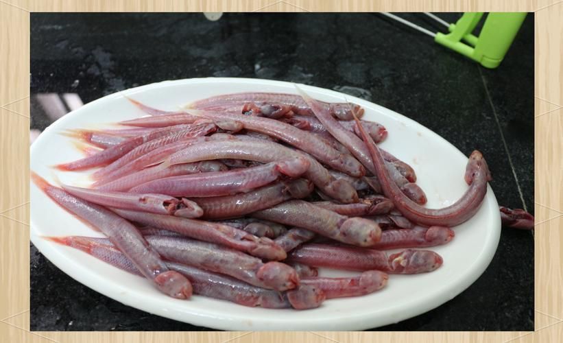 狼牙蝦虎魚的圖片