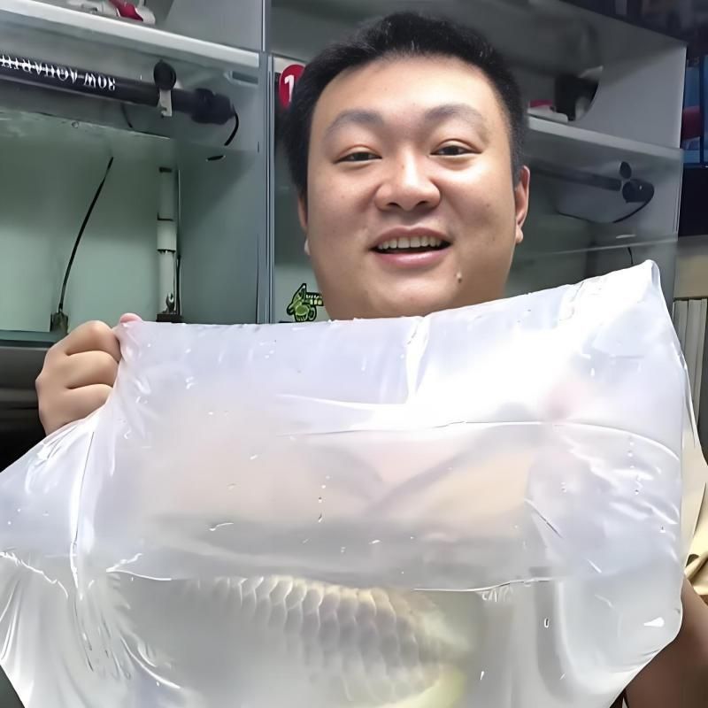 能推薦一些龍魚視頻嗎？
