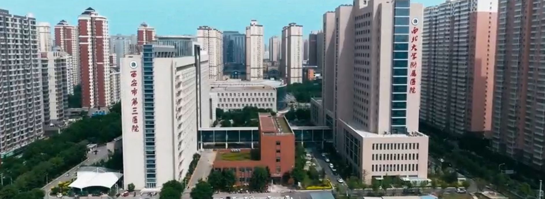 西安龍魚手術醫院地址