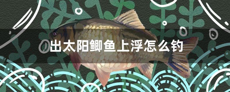 出太陽(yáng)鯽魚(yú)上浮怎么釣