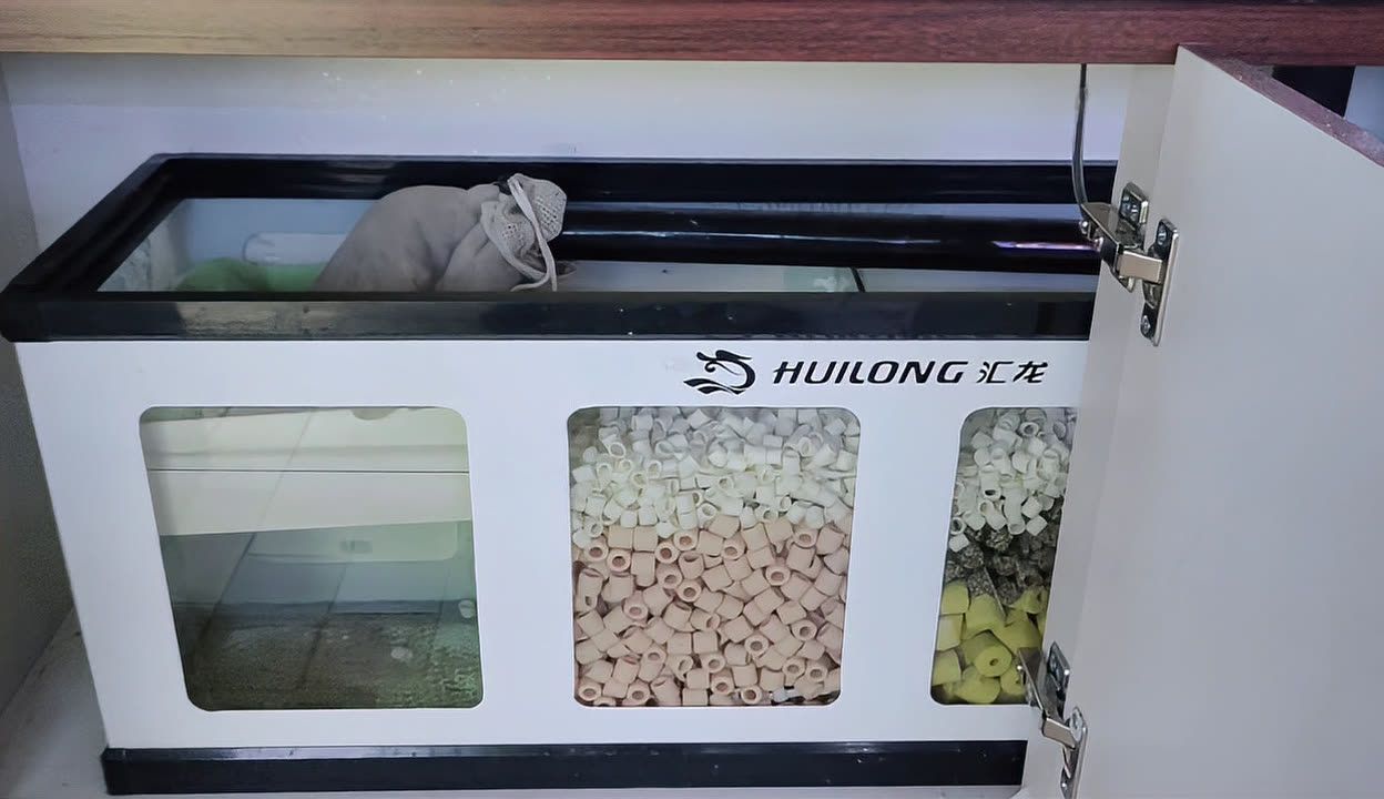 匯龍魚缸使用說明【匯龍魚缸使用匯龍魚缸使用注意事項匯龍魚缸使用注意事項】