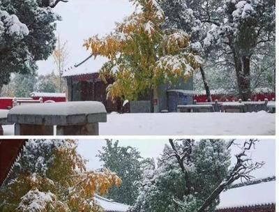 描寫龍魚的句子有哪些：描寫龍魚的句子