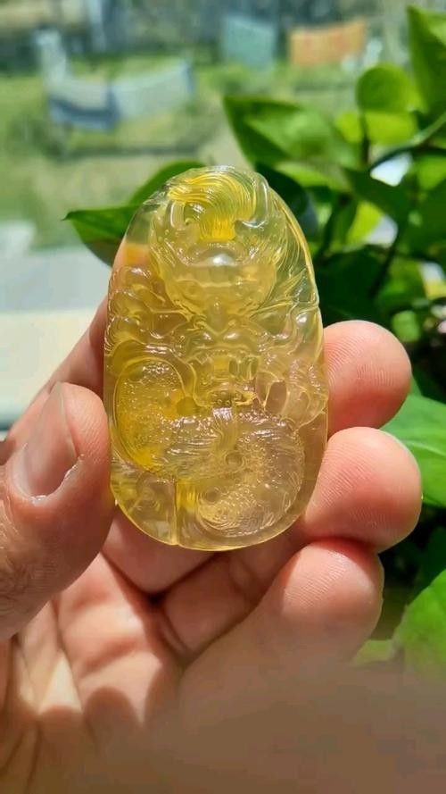 如何判斷過背金龍魚的等級？
