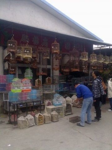 廣州最大賣(mài)龍魚(yú)的地方是哪里啊多少錢(qián)
