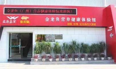 金龍魚營養(yǎng)健康體驗館怎么樣：金龍魚體驗館具有多方面的積極特點
