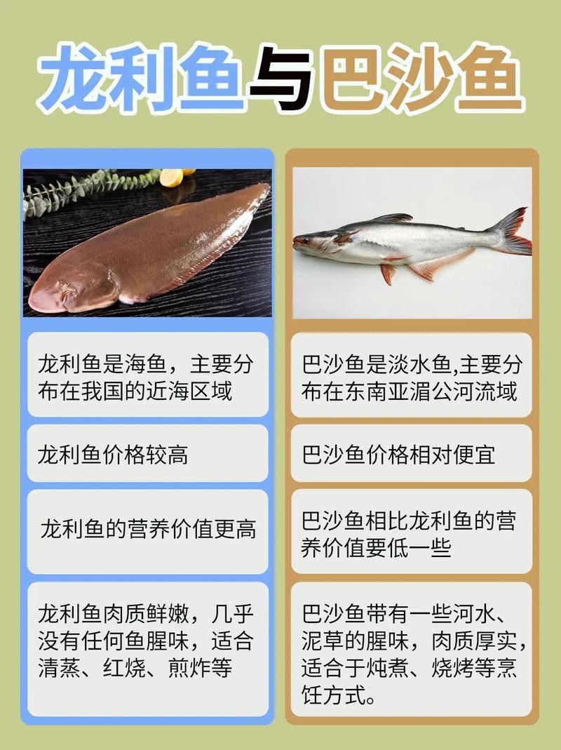 龍利魚和巴沙魚如何區分？