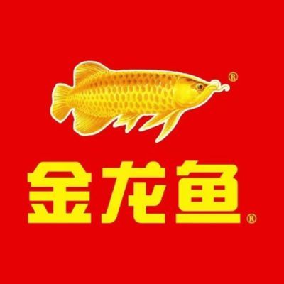 金龍魚跌了多少錢（金龍魚2024年12月12日股價下跌0.33元）