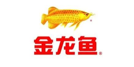 金龍魚跌了多少錢（金龍魚2024年12月12日股價下跌0.33元）