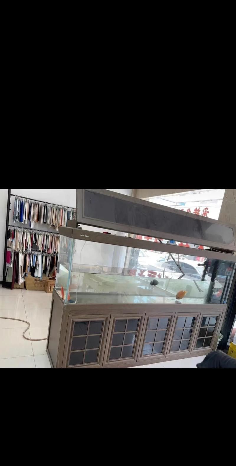 十大龍魚品牌排行榜圖片