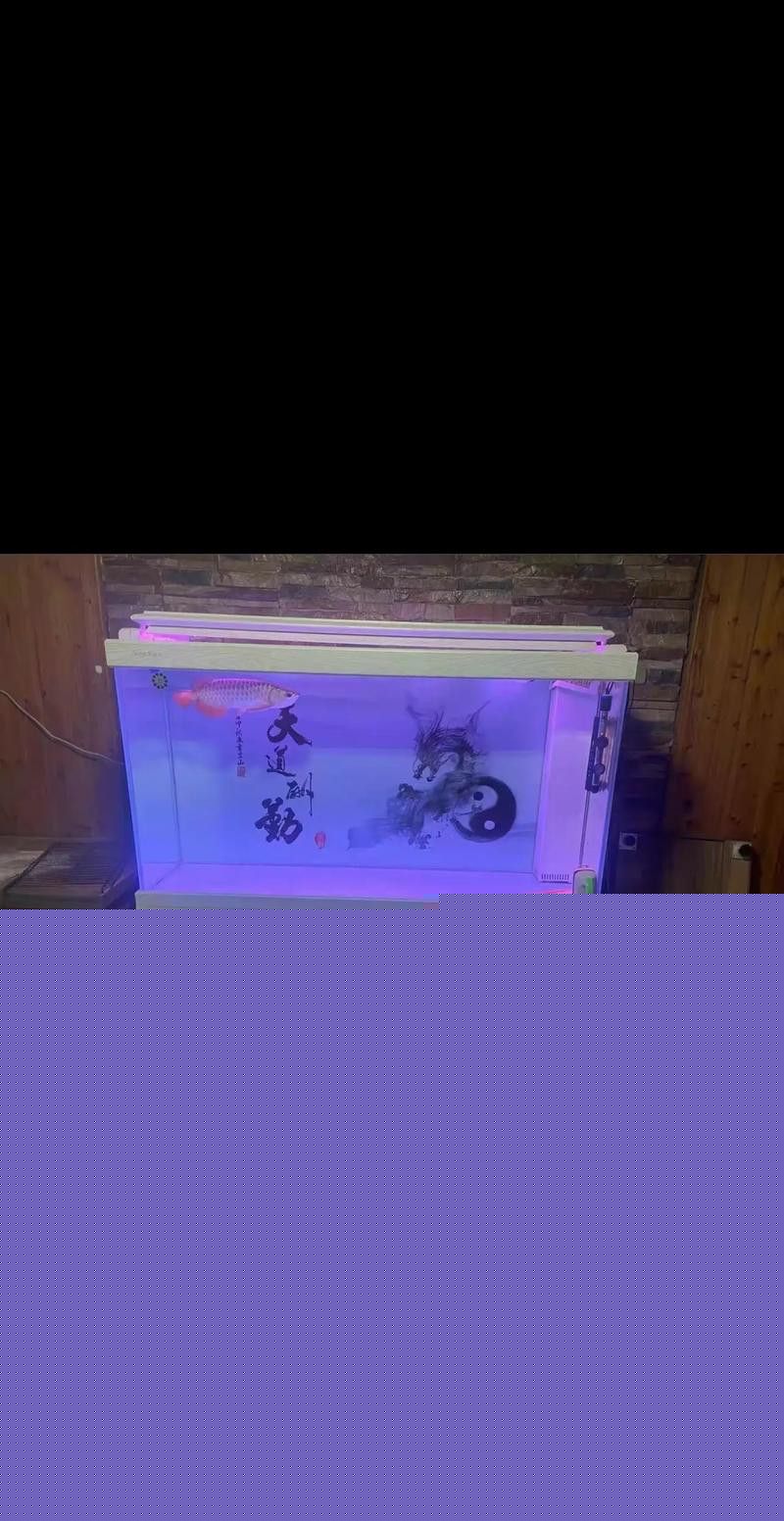 十大龍魚品牌排行榜圖片