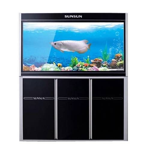 十大龍魚品牌排行榜圖片