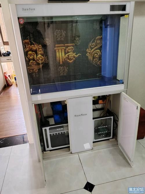 十大龍魚品牌排行榜圖片