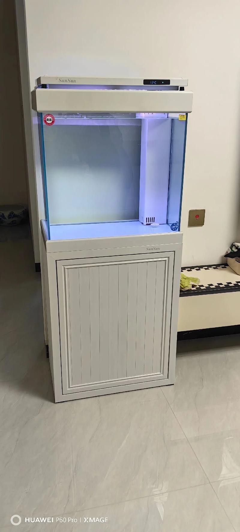 十大龍魚品牌排行榜圖片