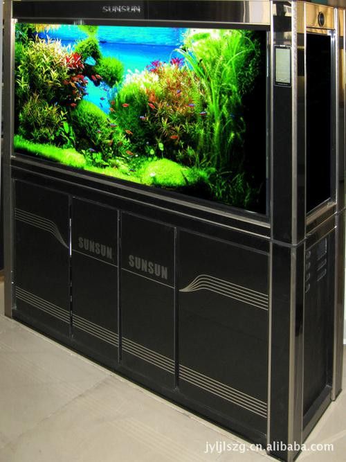 十大龍魚品牌排行榜圖片