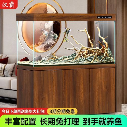 十大龍魚品牌排行榜圖片