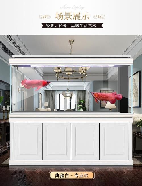 十大龍魚品牌排行榜圖片