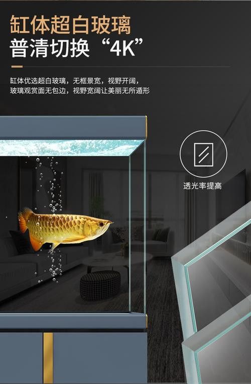 十大龍魚品牌排行榜圖片