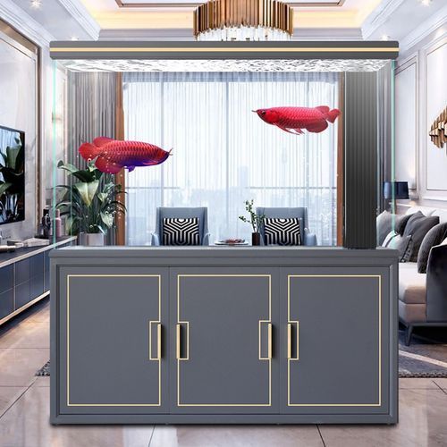 十大龍魚品牌排行榜圖片