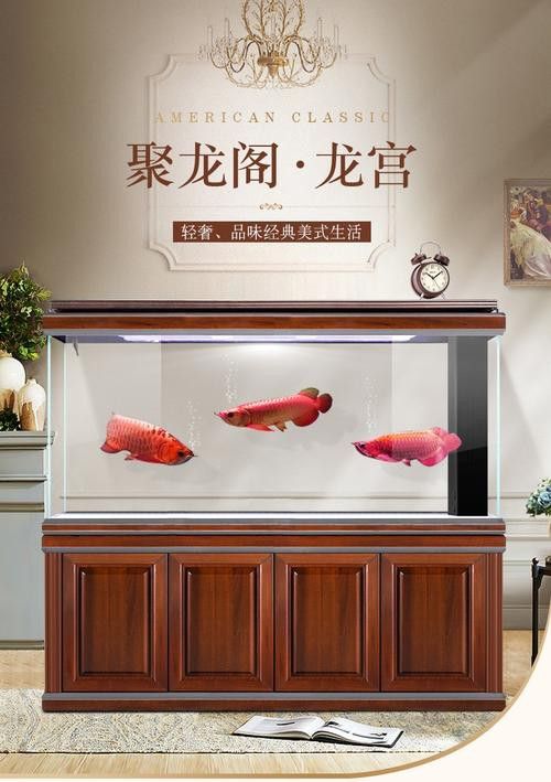 十大龍魚品牌排行榜圖片
