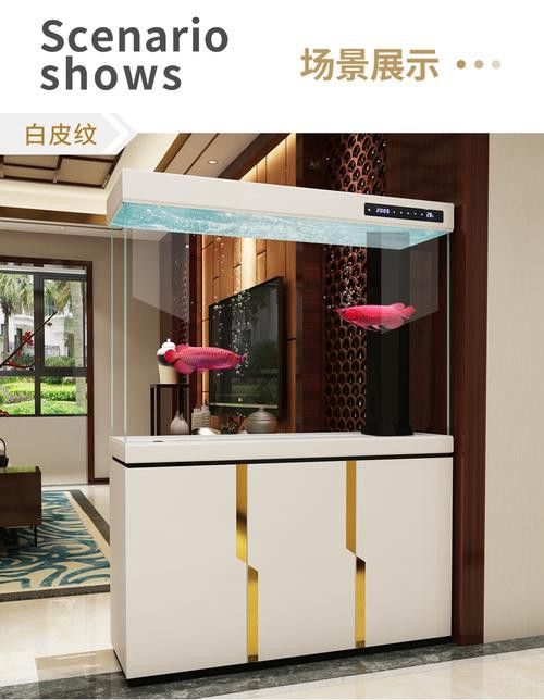 十大龍魚品牌排行榜圖片