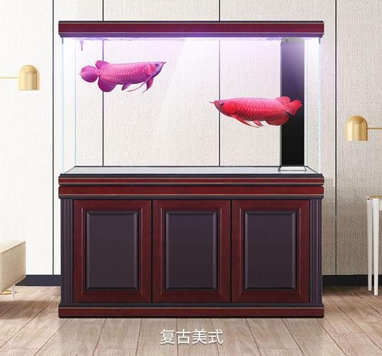 十大龍魚品牌排行榜圖片