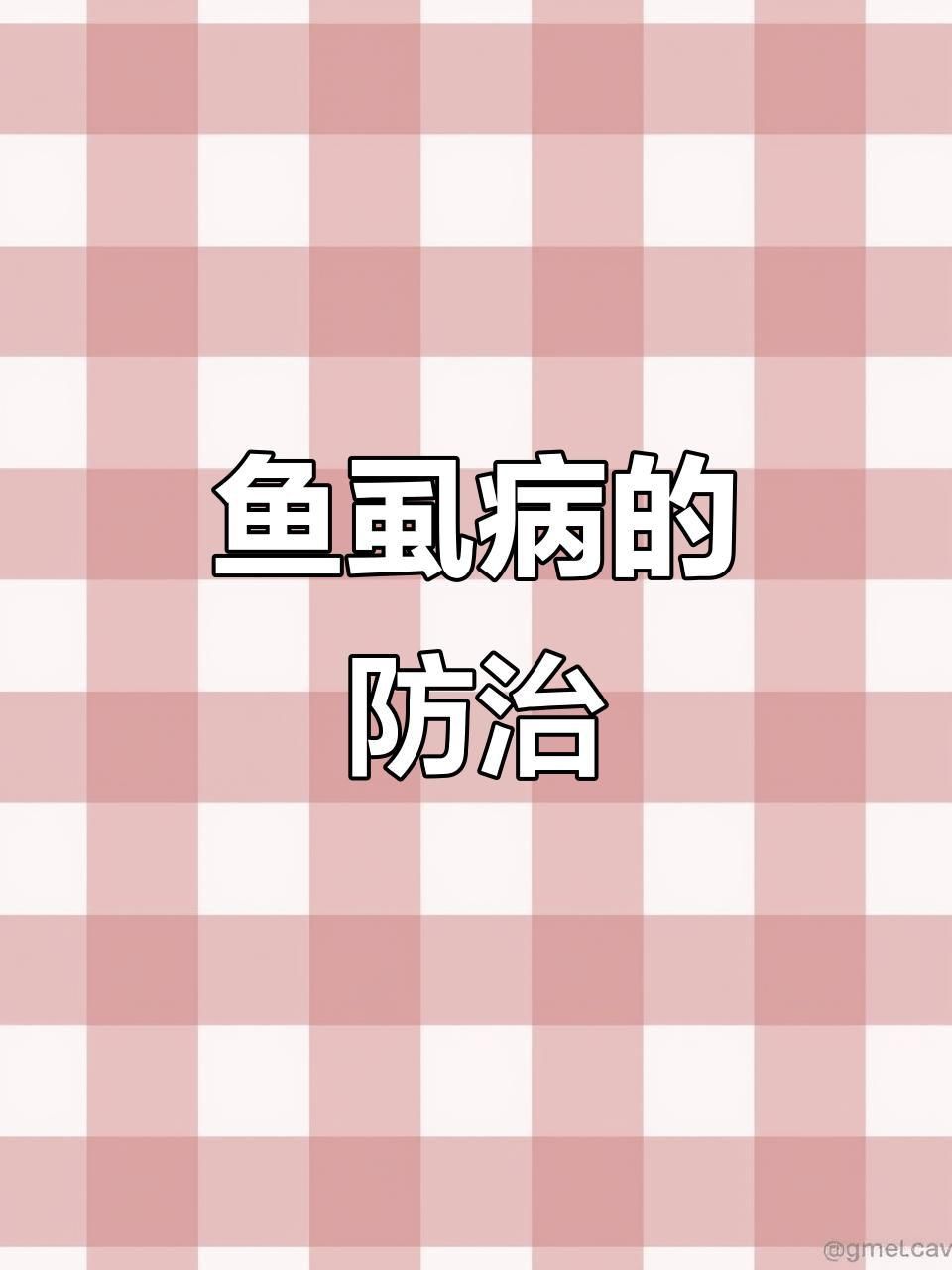 如何判斷魚是否感染了魚虱？