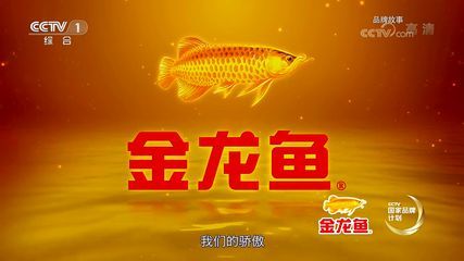 2024品牌故事金龍魚（金龍魚品牌故事|品牌由來）