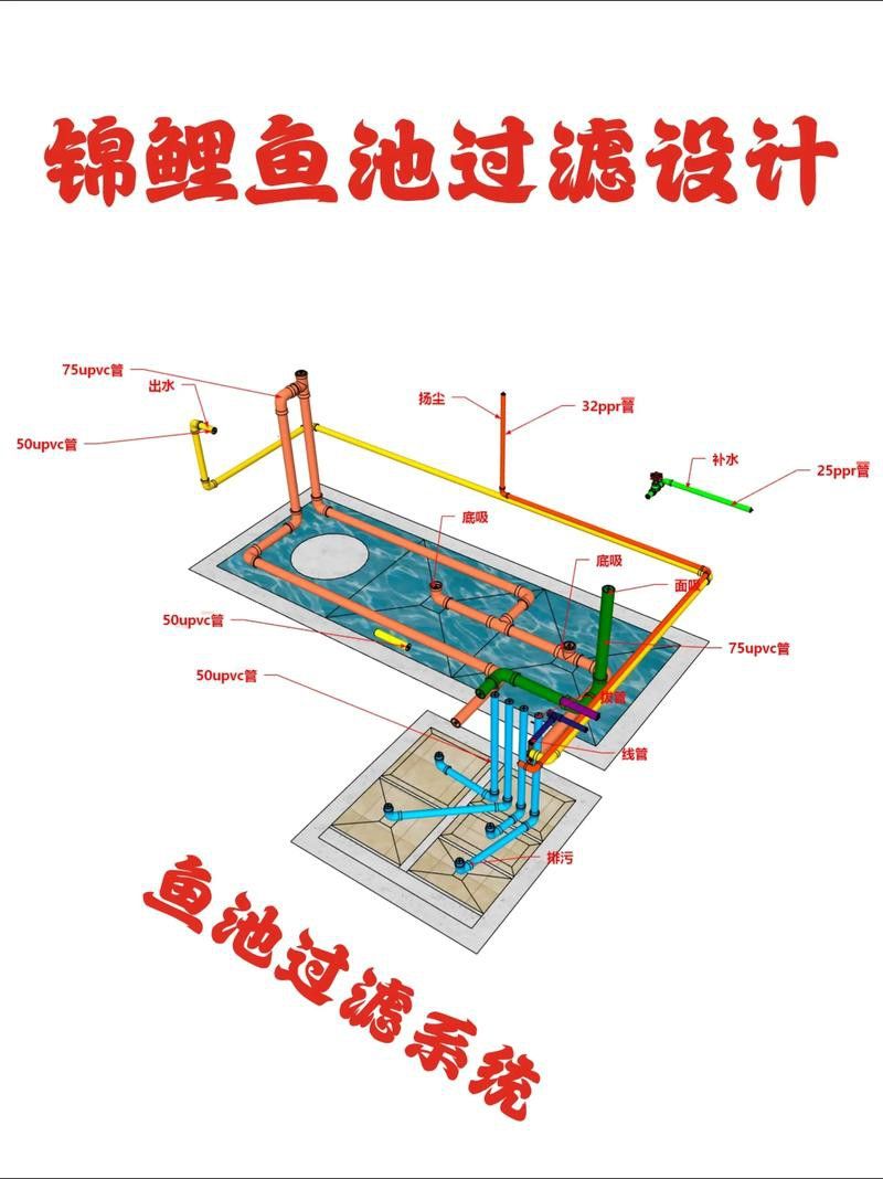 哪種過濾系統最適合曼龍魚混養？