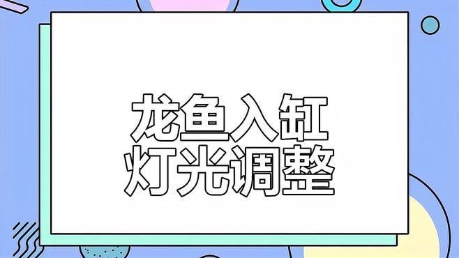 如何逐步調(diào)整龍魚的燈光參數(shù)？